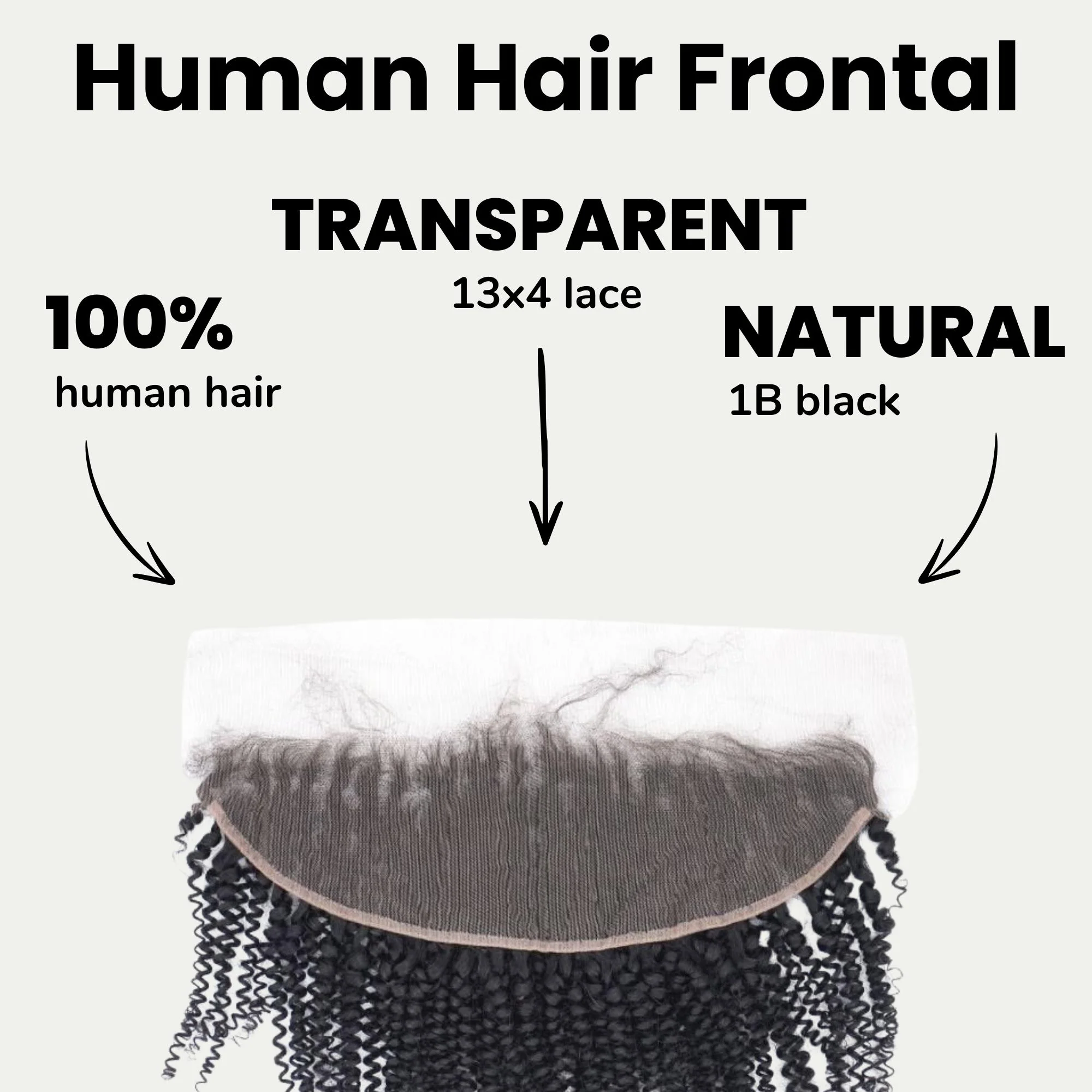 Afro Kinky Curly 13x4 Transparent Lace Human Hair Frontal - Image 2